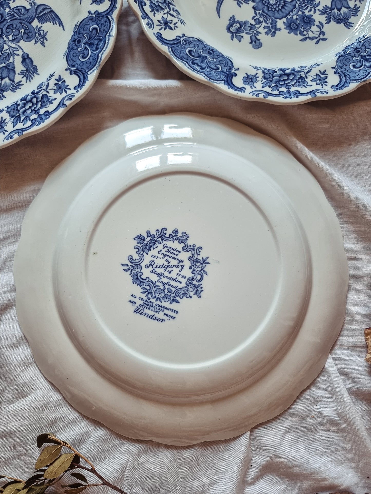 ASSIETTES PLATES AU CHOIX