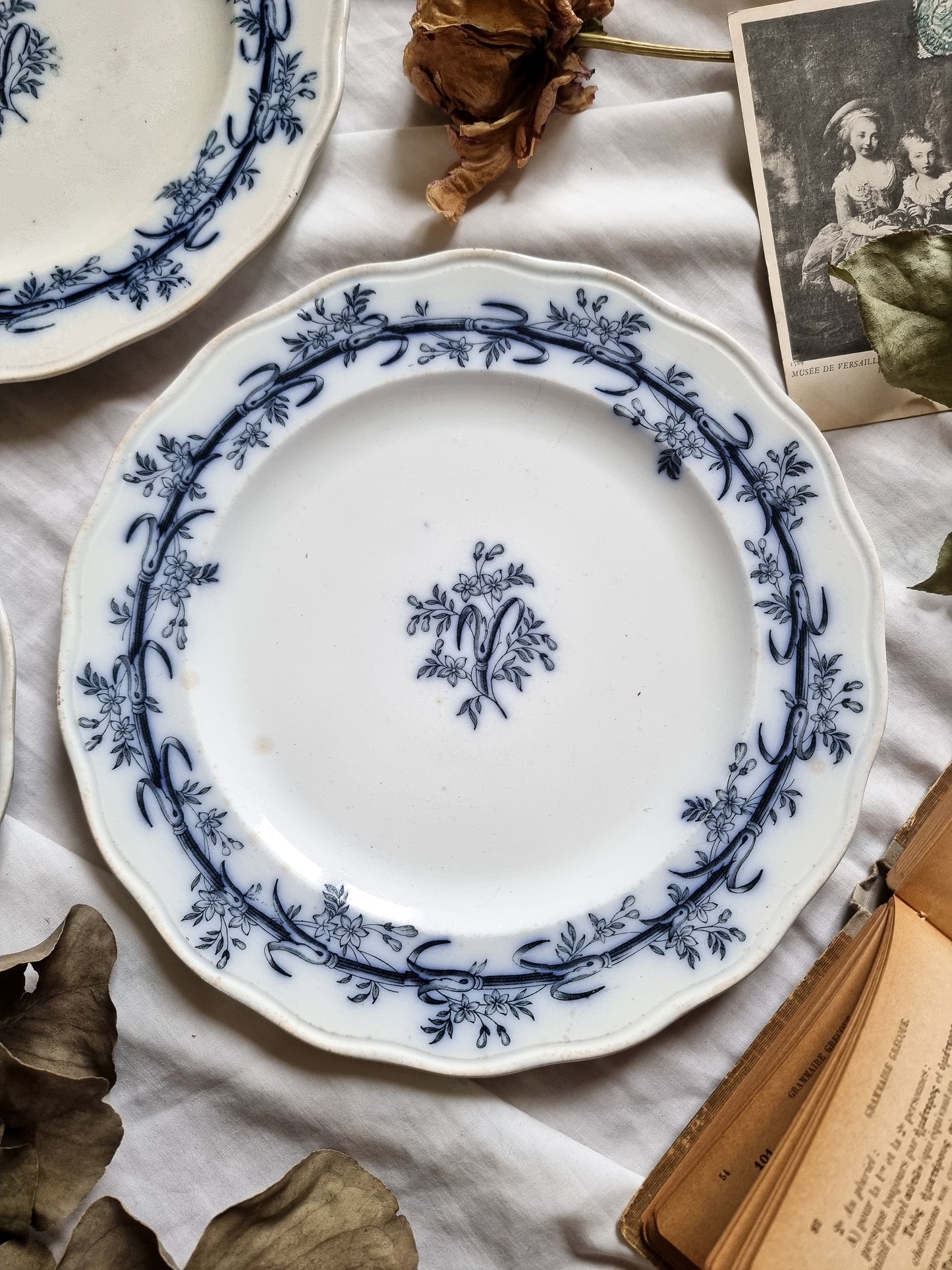 ASSIETTES PLATES BWM&CO