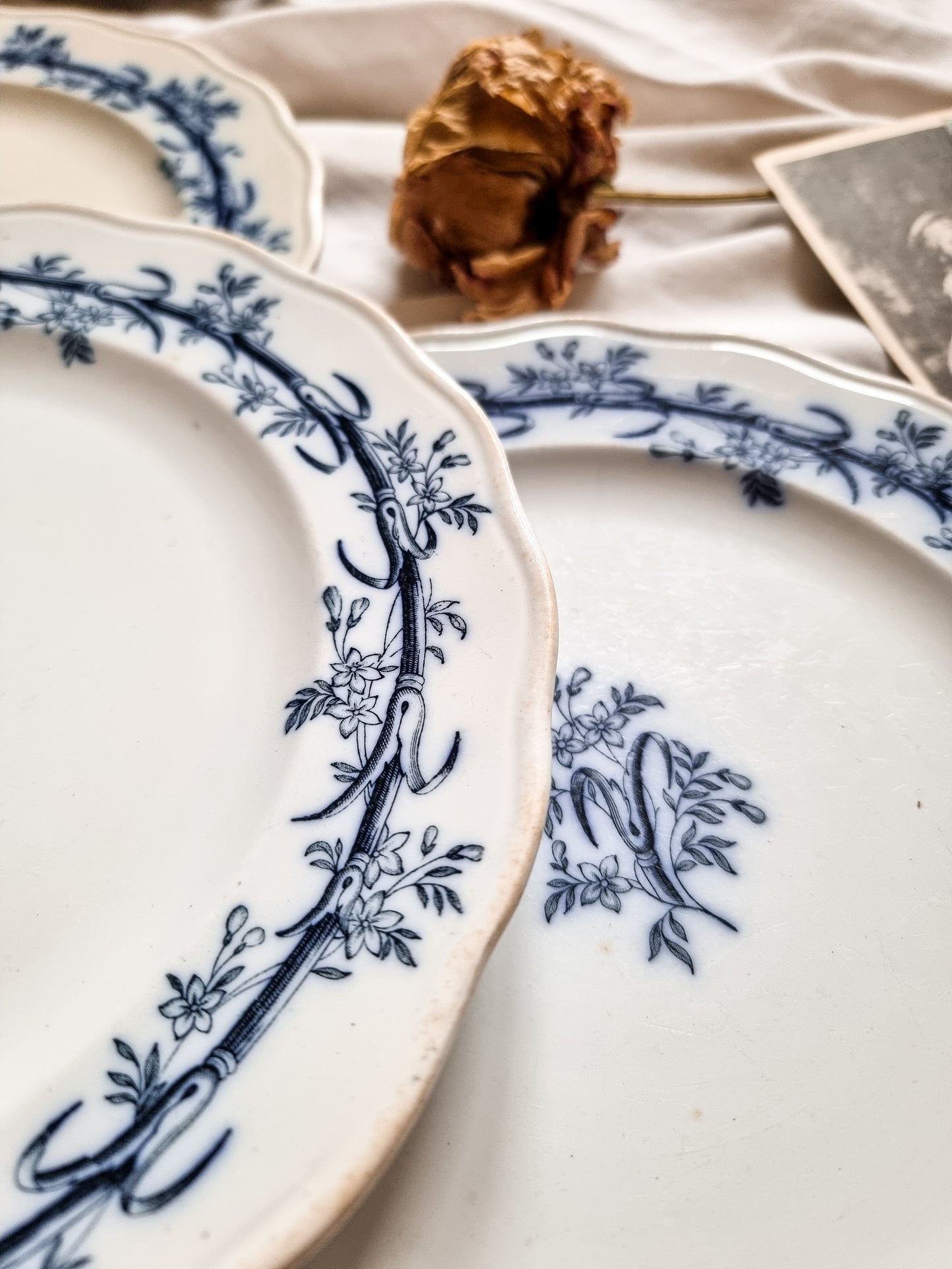 ASSIETTES PLATES BWM&CO