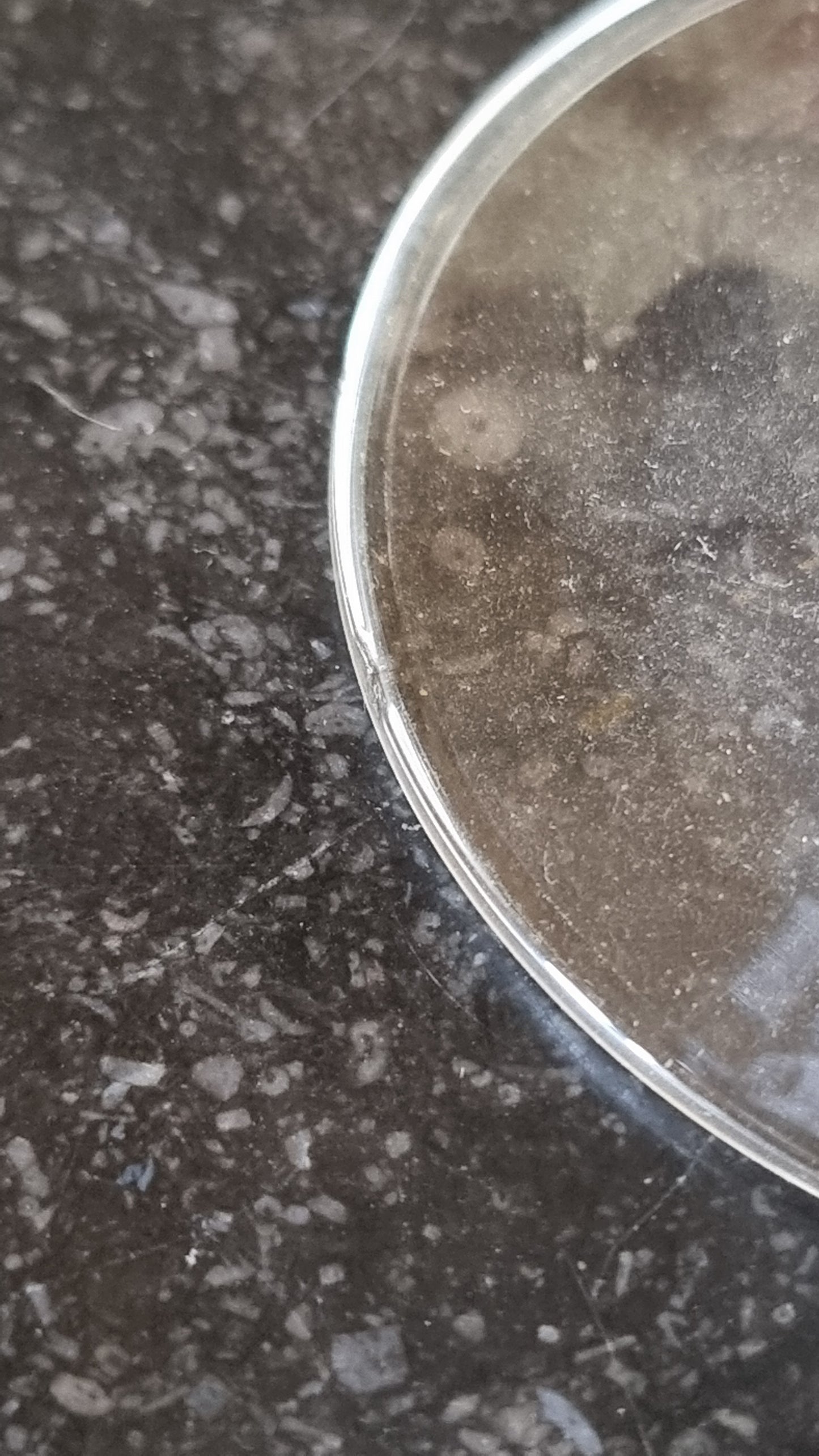 4 VERRES À PIED EN CRISTAL