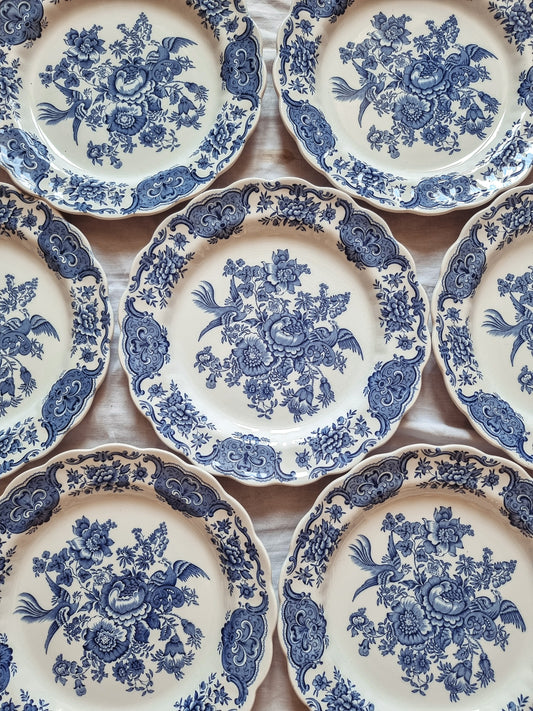 ASSIETTES PLATES AU CHOIX