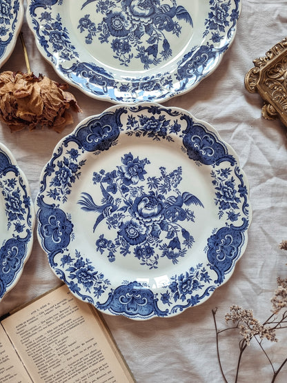 ASSIETTES PLATES AU CHOIX
