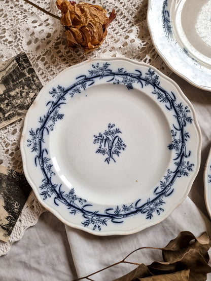 ASSIETTES PLATES BWM&CO