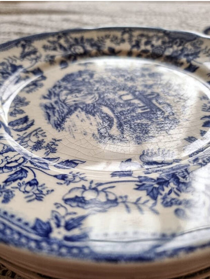 7 ASSIETTES PLATES