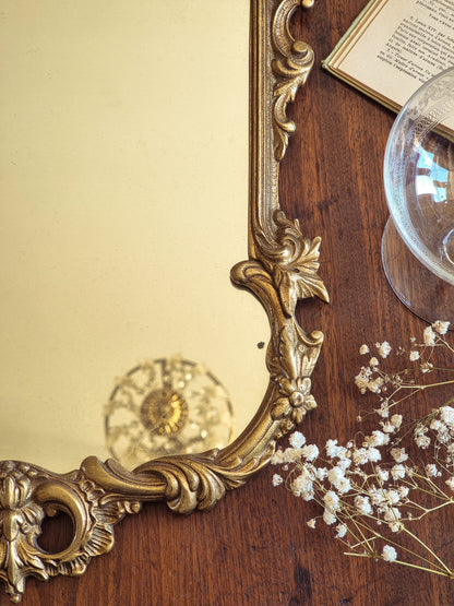 LE MAJESTUEUX - MIROIR ROCAILLE EN BRONZE