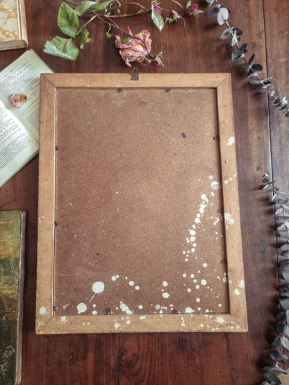 CHROMOLITHOGRAPHIE FLORALE