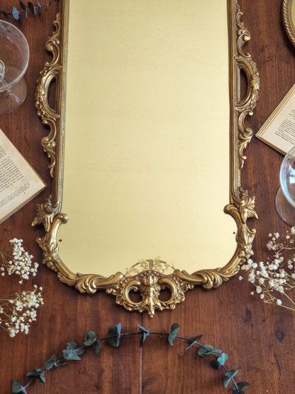 LE MAJESTUEUX - MIROIR ROCAILLE EN BRONZE