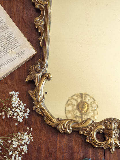 LE MAJESTUEUX - MIROIR ROCAILLE EN BRONZE