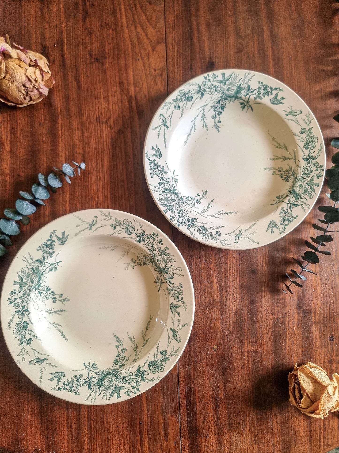 DUO D'ASSIETTES CREIL&MONTEREAU