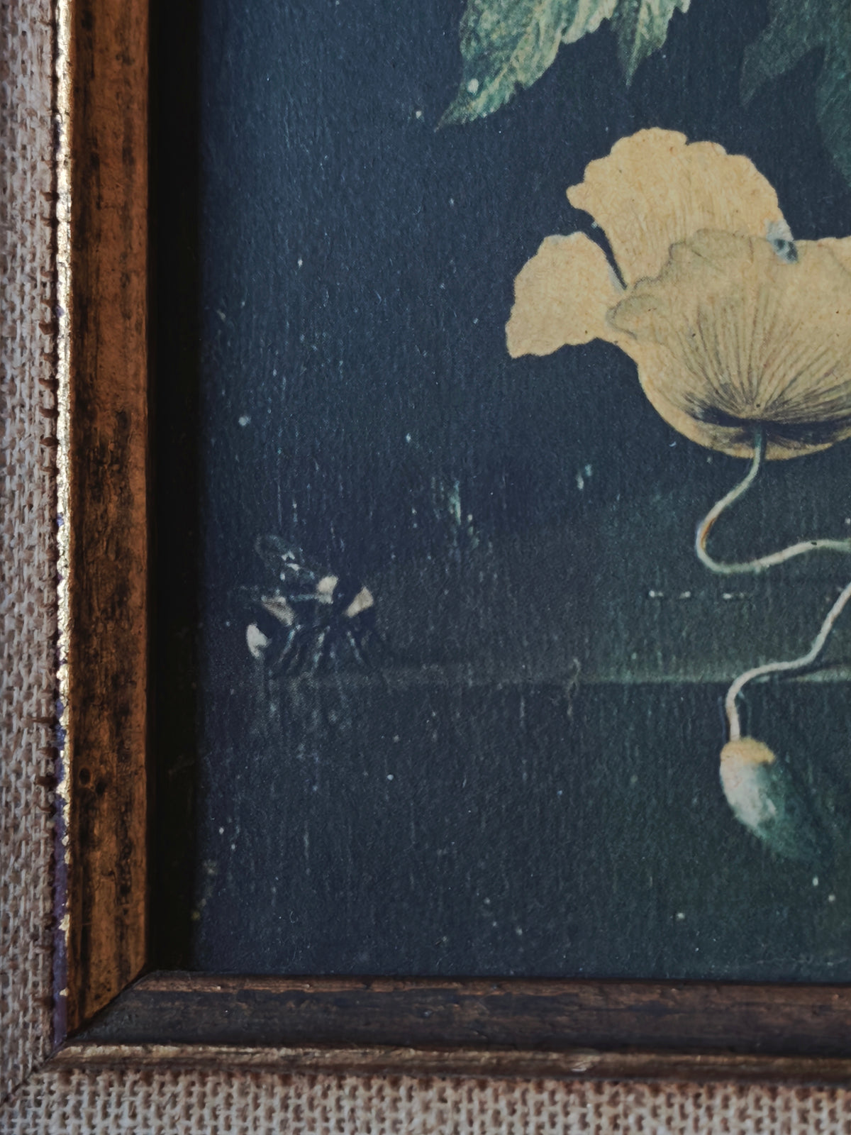 TABLEAU - REPRODUCTION SUR TOILE