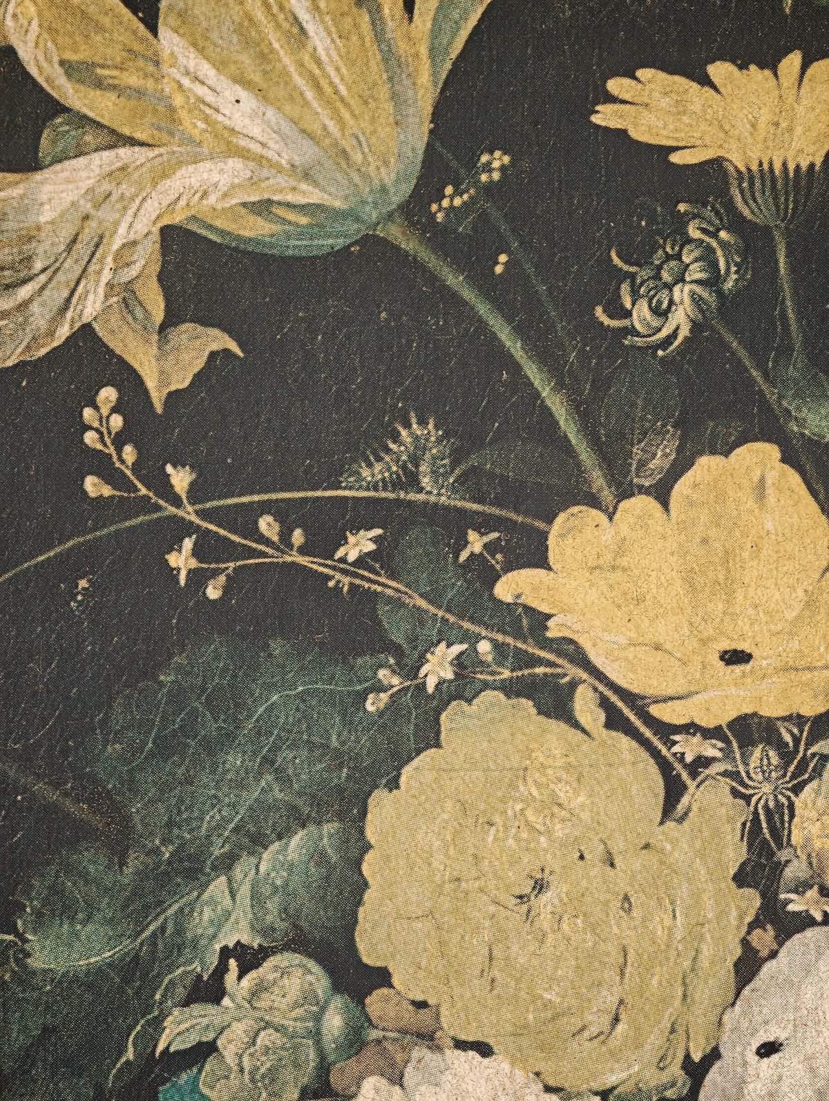 TABLEAU - REPRODUCTION SUR TOILE